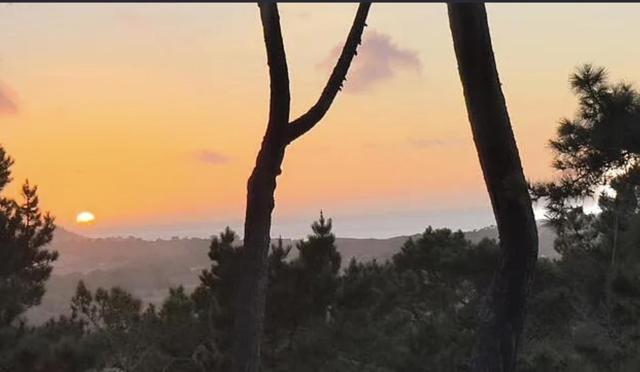 31 Del Mesa Carmel, Carmel CA: https://media.crmls.org/mediaz/06d401ca-6223-488f-88fd-ec9f51761f0f.jpg