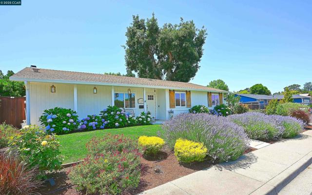 1250 Saint Louis Drive, Concord CA: https://media.crmls.org/mediaz/06e69763-fe73-4c6f-a930-bd213387900e.jpg