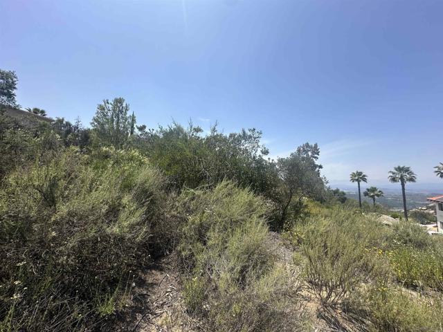 0 Sage Hill Way, Escondido CA: https://media.crmls.org/mediaz/06ea5356-62d3-4f31-8b68-8a195c78ff94.jpg