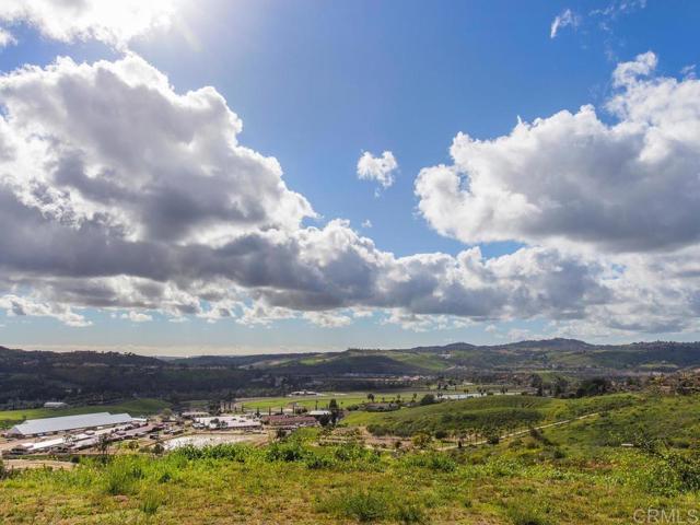 0 Chisholm Trail, Bonsall, California 92003, ,Land,For Sale,0 Chisholm Trail,CRNDP2400890