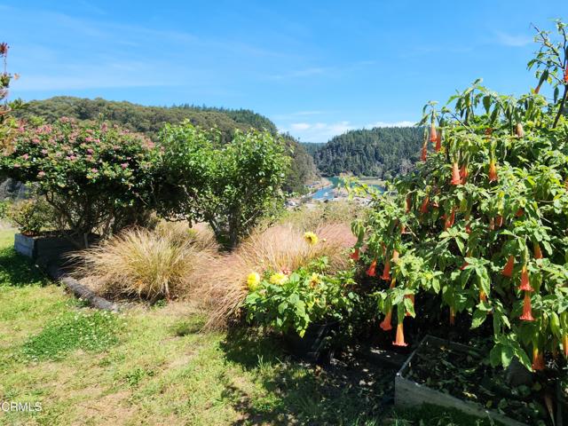 Detail Gallery Image 29 of 33 For 33890 Albion River South Side Rd, Albion,  CA 95410 - 3 Beds | 2 Baths