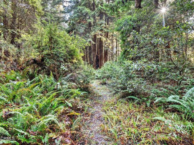 Detail Gallery Image 40 of 49 For 19400 Dorffi Rd, Fort Bragg,  CA 95437 - 3 Beds | 2/1 Baths