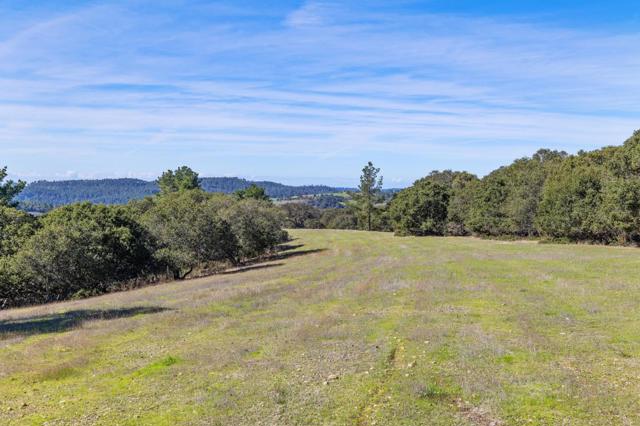 8425 Alta Tierra (Lot 66), Carmel CA: https://media.crmls.org/mediaz/06f7ffbc-39c0-4698-94d7-343f73f90557.jpg