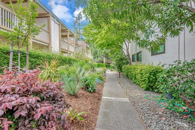 1294 Woodside Road, Redwood City CA: https://media.crmls.org/mediaz/06fc2cd2-d0ab-407a-b81f-fe06981fab92.jpg