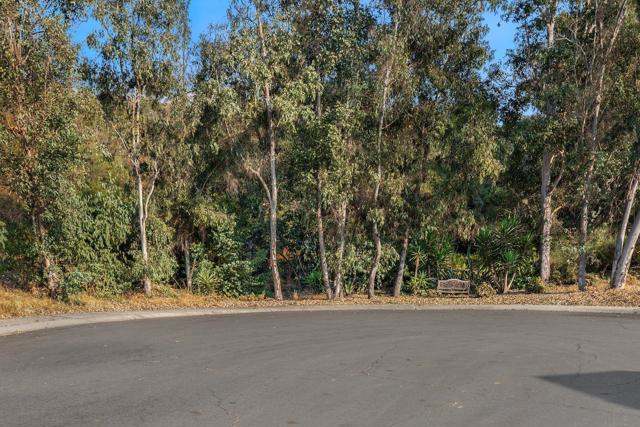 10421 Les Arbres Pl, San Diego CA: https://media.crmls.org/mediaz/06fe5955-e324-427e-9b4f-fff676475862.jpg