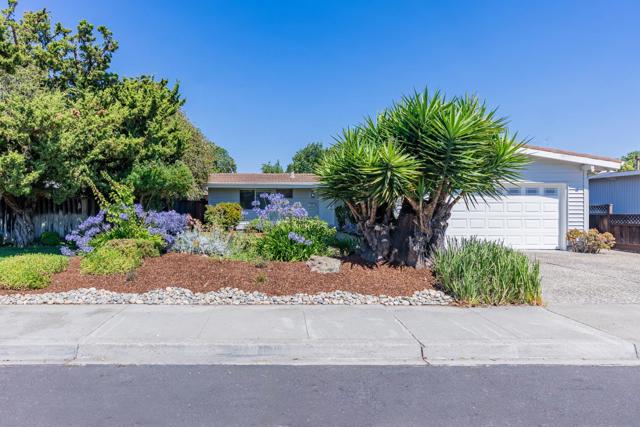 335 Burnett Avenue, Santa Clara CA: https://media.crmls.org/mediaz/0706632d-3724-4fec-be08-b6aa8aec3f59.jpg