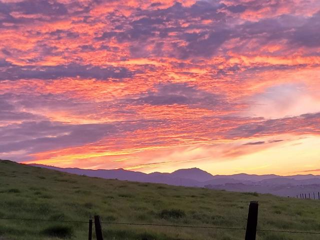216 Enterprise Road, Hollister CA: https://media.crmls.org/mediaz/0706db08-2fa6-4ecc-8984-cbb28dfe9814.jpg