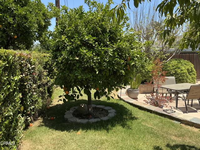 285 Second Street, Moorpark CA: https://media.crmls.org/mediaz/07075fae-6c16-4a9f-a942-4a557c4f438c.jpg