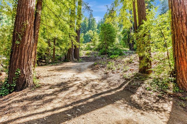 133 Western Avenue, Brookdale CA: https://media.crmls.org/mediaz/070848c0-4718-4ca4-a365-e31f141fb3c0.jpg