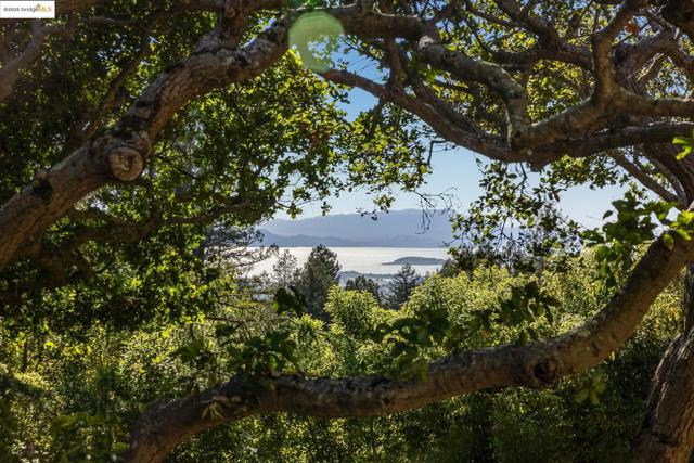 2671 Shasta Rd, Berkeley CA: https://media.crmls.org/mediaz/070adb7a-4fca-407b-839f-5fabb451c58b.jpg