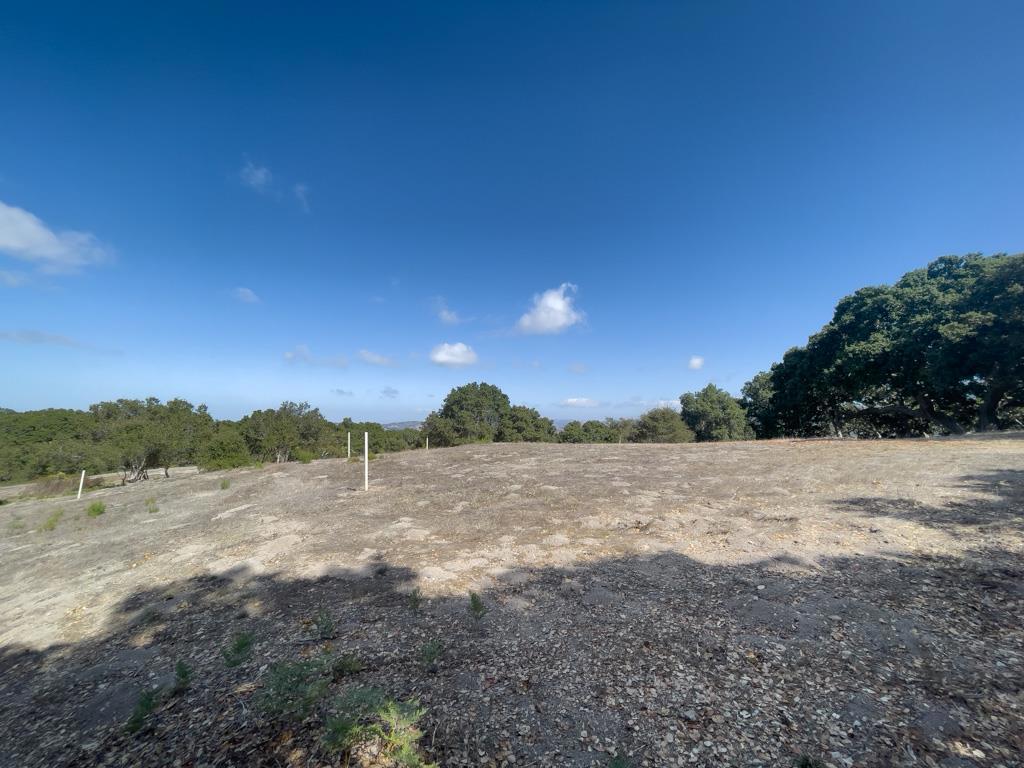 MLS #ML81990616 image #14