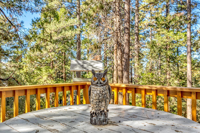 52402 Pine Ridge Road, Idyllwild CA: https://media.crmls.org/mediaz/071e4de2-f47a-402d-8040-ab185a97dae9.jpg