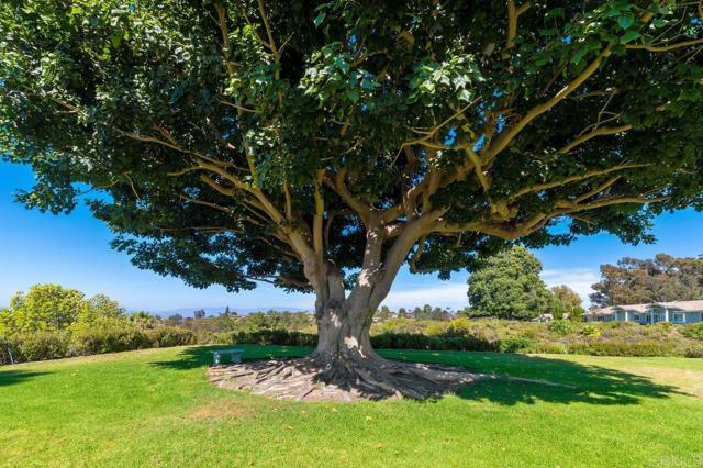 Detail Gallery Image 30 of 37 For 4369 Dowitcher Way, Oceanside,  CA 92057 - 2 Beds | 2 Baths
