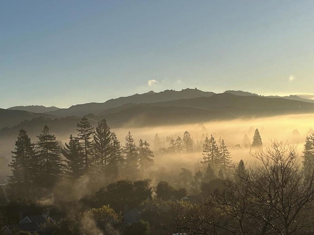 https://media.crmls.org/mediaz/073161c7-7da5-4061-8d63-9b06abbe4ade.jpg?preset=X-Large