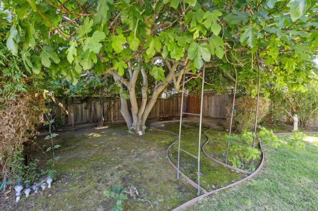 1050 Boranda Avenue, Mountain View CA: https://media.crmls.org/mediaz/0738a4cf-7a38-4c78-9c0e-5e6ac60f6dca.jpg