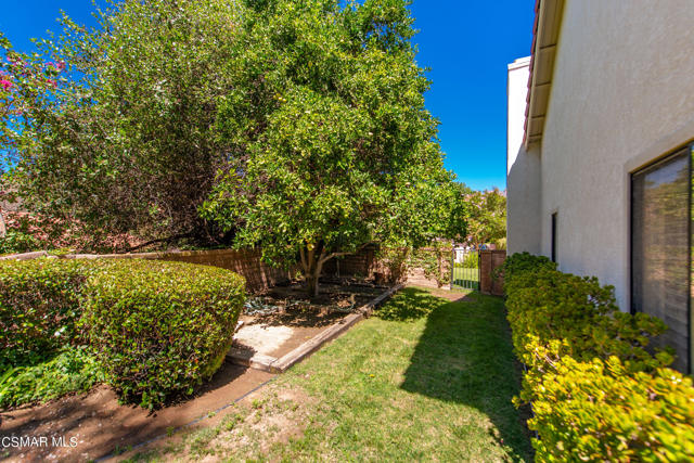 Side yard