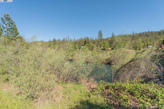 430 Bridge Rd, Douglas City CA: https://media.crmls.org/mediaz/073ad14a-033b-43fd-86ff-27da56ff3a3a.jpg