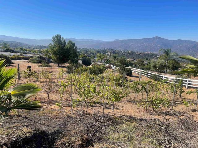 15068 Creek Hills Rd, El Cajon CA: https://media.crmls.org/mediaz/073b6c9a-4b8a-4909-83db-d6115db6dc82.jpg