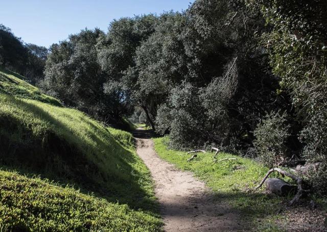 5403 Via Carancho, San Diego CA: https://media.crmls.org/mediaz/074a6ebe-5079-46f2-815a-45fc35c970eb.jpg
