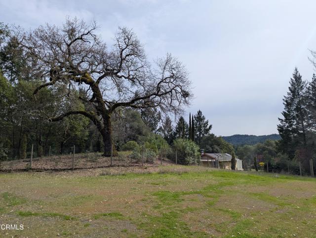 Detail Gallery Image 11 of 49 For 22346 Rickard Ranch Rd, Point Arena,  CA 95468 - – Beds | – Baths
