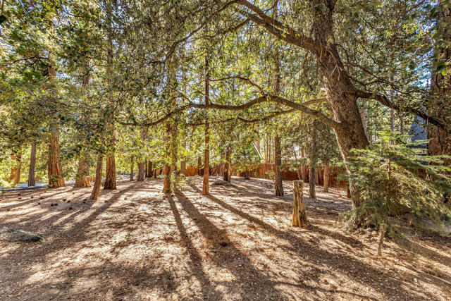52402 Pine Ridge Road, Idyllwild CA: https://media.crmls.org/mediaz/0753a27e-3897-4792-9755-00721d492029.jpg