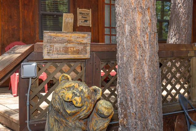 40114 Esterly Lane, Big Bear CA: https://media.crmls.org/mediaz/0756c636-85fd-4fd5-b1db-8244b6b45ef4.jpg