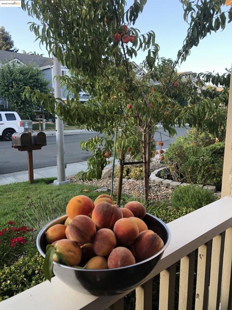 7 Kevin Ln, American Canyon CA: https://media.crmls.org/mediaz/075d9a35-08d2-4bb7-a4c4-ba83ef6e66b1.jpg