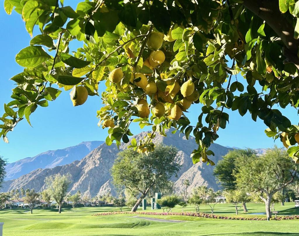 MLS #219139031DA image #28