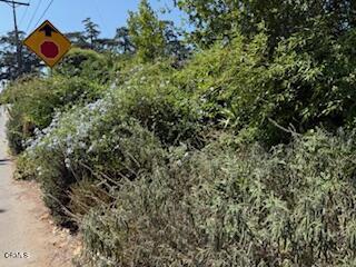 591 Alameda Street, Altadena CA: https://media.crmls.org/mediaz/07662309-9535-41e0-bf78-361eac6bfeb8.jpg