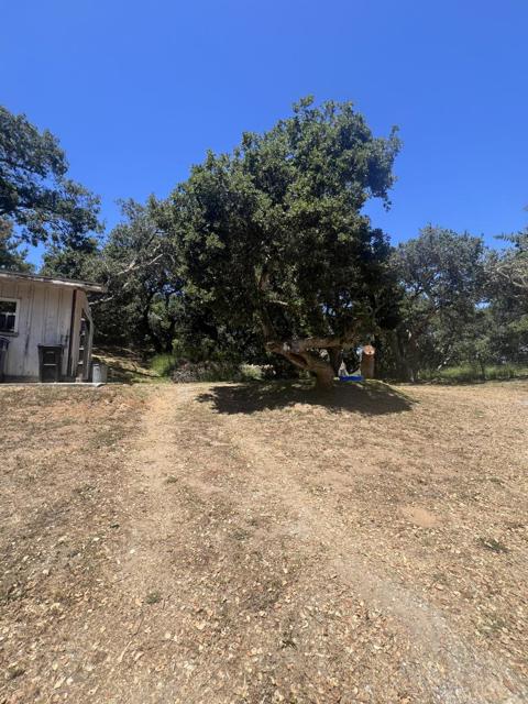 17160 Wilson Way, Royal Oaks CA: https://media.crmls.org/mediaz/07687a49-7d63-4f53-b5ae-8031585d73e0.jpg