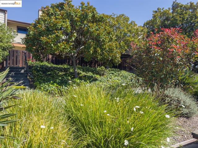 1130 Richmond ST, El Cerrito CA: https://media.crmls.org/mediaz/0771dd9e-6510-4940-a6b3-cea82bcba680.jpg