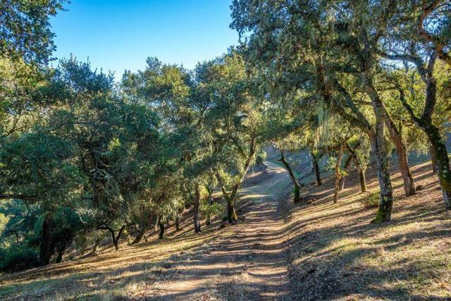 17114 Cachagua Road, Carmel Valley CA: https://media.crmls.org/mediaz/0772b928-1bf5-47e9-ab22-807c00b6365b.jpg