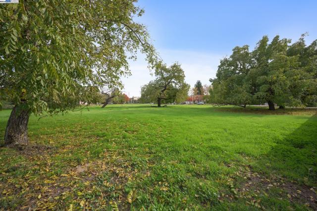 3801 Mohr Ave, Pleasanton CA: https://media.crmls.org/mediaz/077abb96-6a1d-4aaf-9dec-99f7b88c72d6.jpg