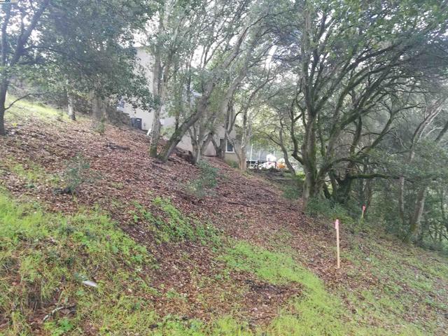 12 Vista Del Orinda, Orinda CA: https://media.crmls.org/mediaz/077ad666-4460-4795-bdc3-5f4e47caece2.jpg