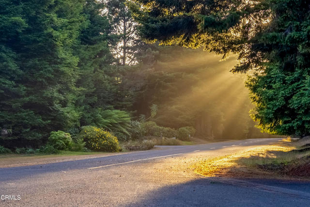16611 Pearl Ranch Road, Fort Bragg CA: https://media.crmls.org/mediaz/077c32d4-c580-48e6-8179-798f087b8065.jpg