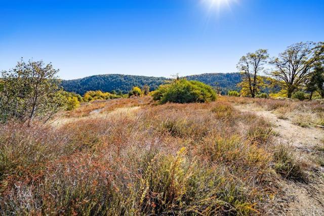 Detail Gallery Image 8 of 33 For 0 State Park Rd, Palomar Mountain,  CA 92060 - – Beds | – Baths