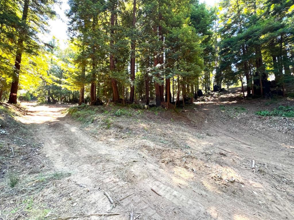 MLS #ML81973209 image #41