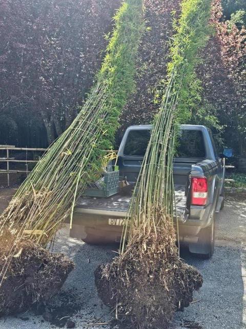 5601 Freedom Boulevard, Aptos CA: https://media.crmls.org/mediaz/0792bb96-d2c3-483b-a05b-035fec73ac87.jpg