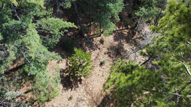 0 Green Craig, Idyllwild CA: https://media.crmls.org/mediaz/07a85e23-c474-4757-b547-9b933bf81196.jpg