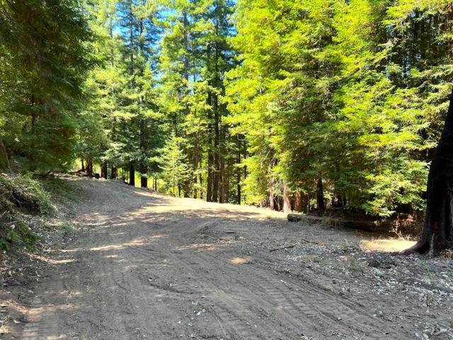 0 E Hilton, Boulder Creek CA: https://media.crmls.org/mediaz/07bbdba3-7e72-4cb8-a365-0efbbd42ede5.jpg