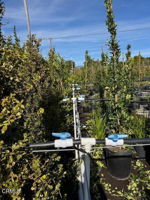 Detail Gallery Image 27 of 41 For 2245 California St, Fillmore,  CA 93015 - 2 Beds | 1 Baths