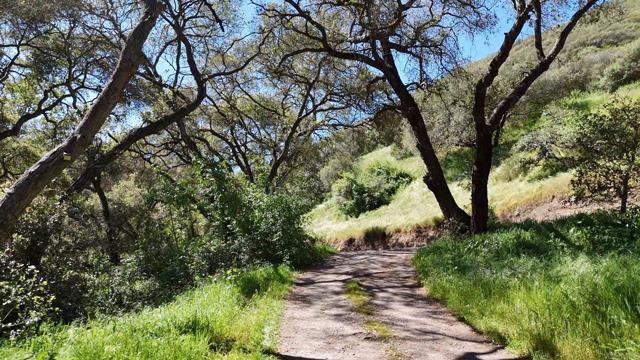 Detail Gallery Image 20 of 60 For 9237 Harmony Grove, Escondido,  CA 92029 - 3 Beds | 2/1 Baths