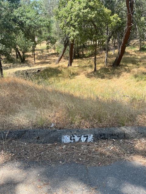 582 Silver Leaf Drive, Oroville CA: https://media.crmls.org/mediaz/07cfcba3-7c13-4840-8209-010b21a1e0ab.jpg