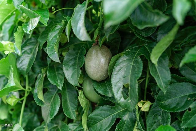 Detail Gallery Image 30 of 45 For 1215 Anchors Way #13,  Ventura,  CA 93001 - 3 Beds | 2 Baths