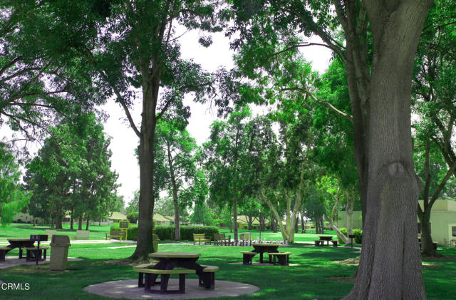 Photo Picnic Area Golf Course photo