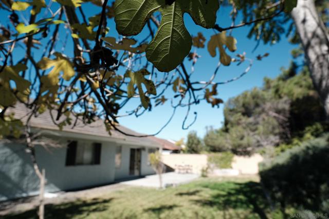 4835 Glenhaven Dr, Oceanside CA: https://media.crmls.org/mediaz/07fe8c2b-0643-4bd3-8b14-39ef737c76ce.jpg