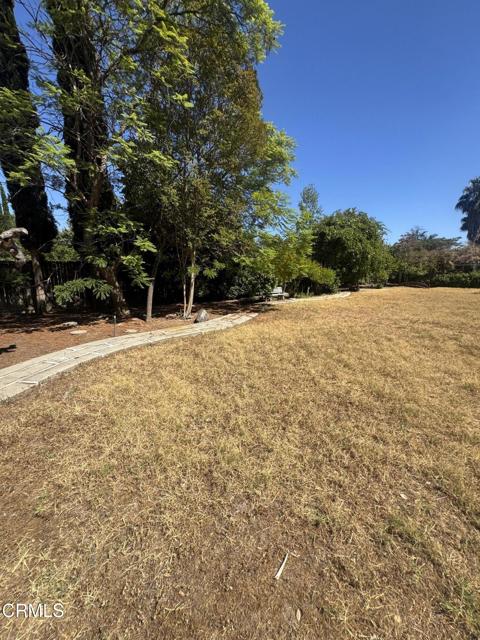 238 W Le Roy Avenue, Arcadia CA: https://media.crmls.org/mediaz/0804ba79-db4c-4f13-a719-c2657d18f5fb.jpg