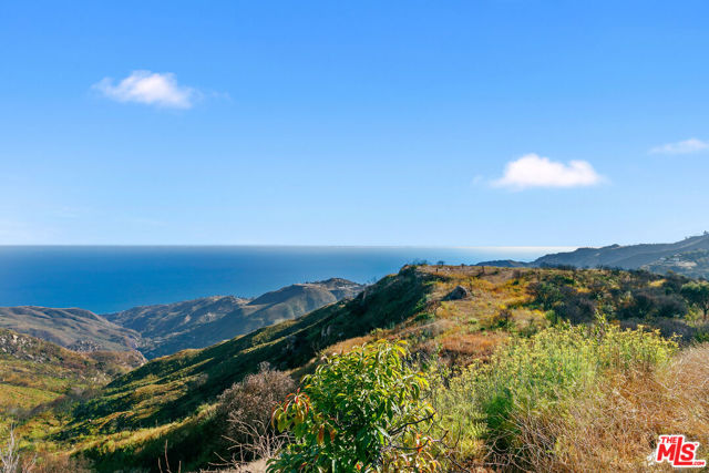 23010 Saddle Peak Road photo 8