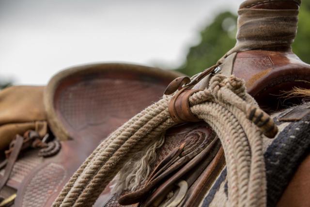 770 Limekiln Road, Hollister CA: https://media.crmls.org/mediaz/081241f3-d441-44eb-8129-90c8cd9c7893.jpg