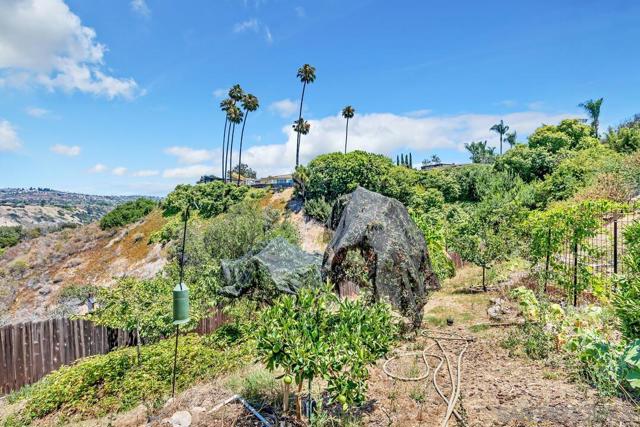 5141 Dorman Dr, San Diego CA: https://media.crmls.org/mediaz/081b93d0-ed86-434c-a454-ebfe2c52d0f3.jpg